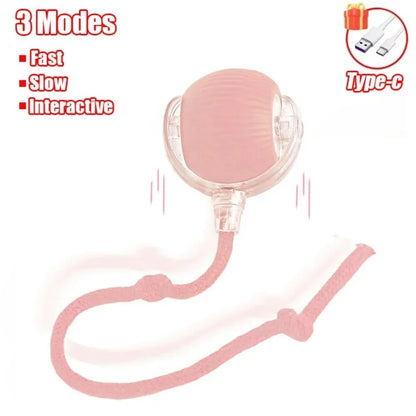 ZoomTail – Burn-Their-Energy Play Ball