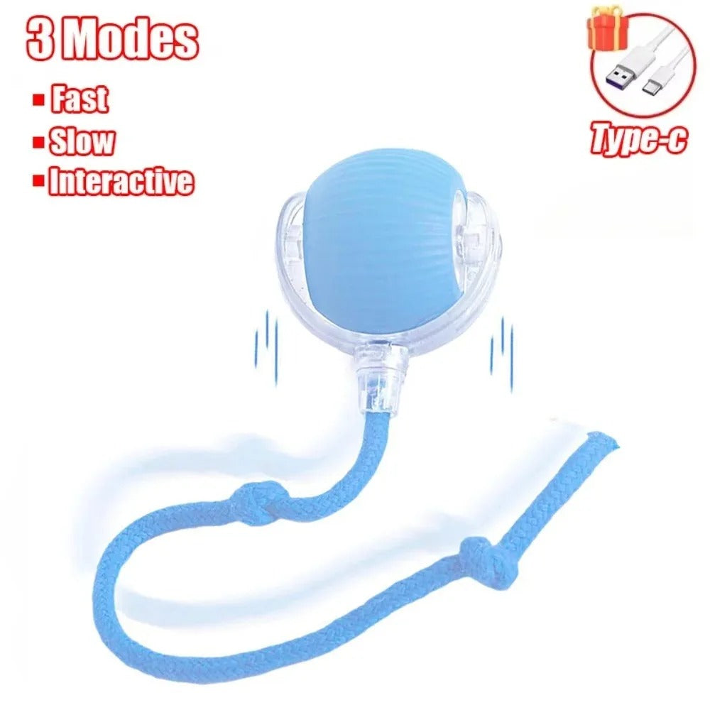 ZoomTail – Burn-Their-Energy Play Ball