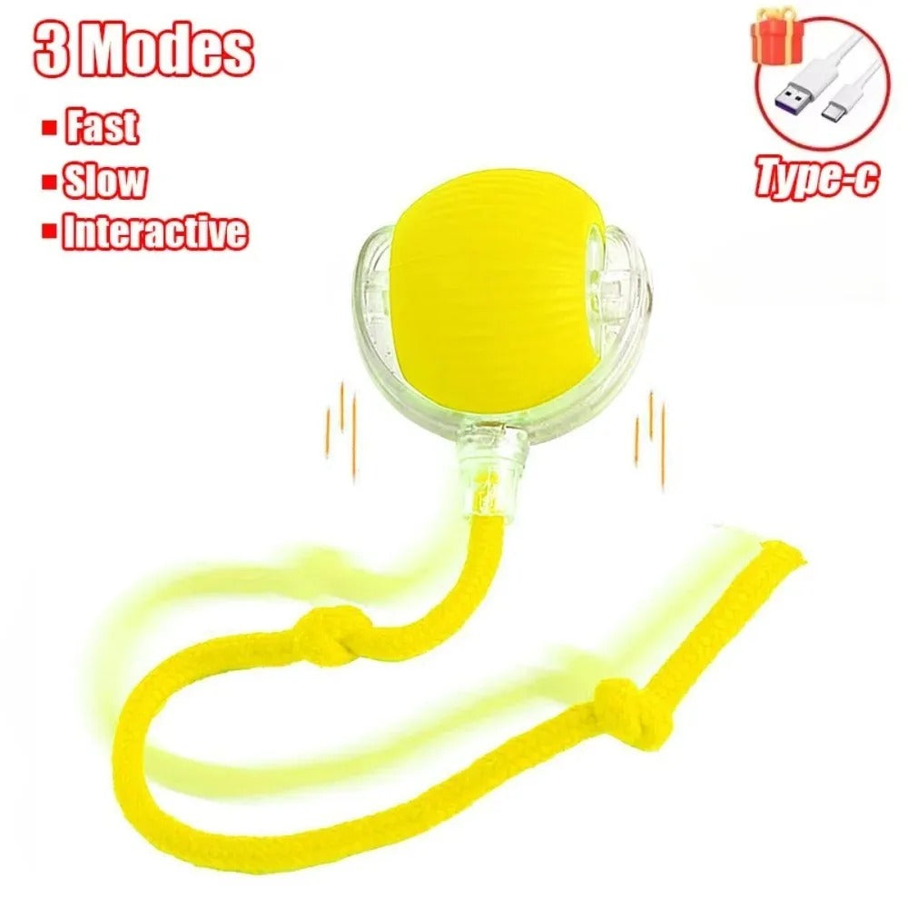 ZoomTail – Burn-Their-Energy Play Ball