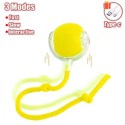 ZoomTail – Burn-Their-Energy Play Ball