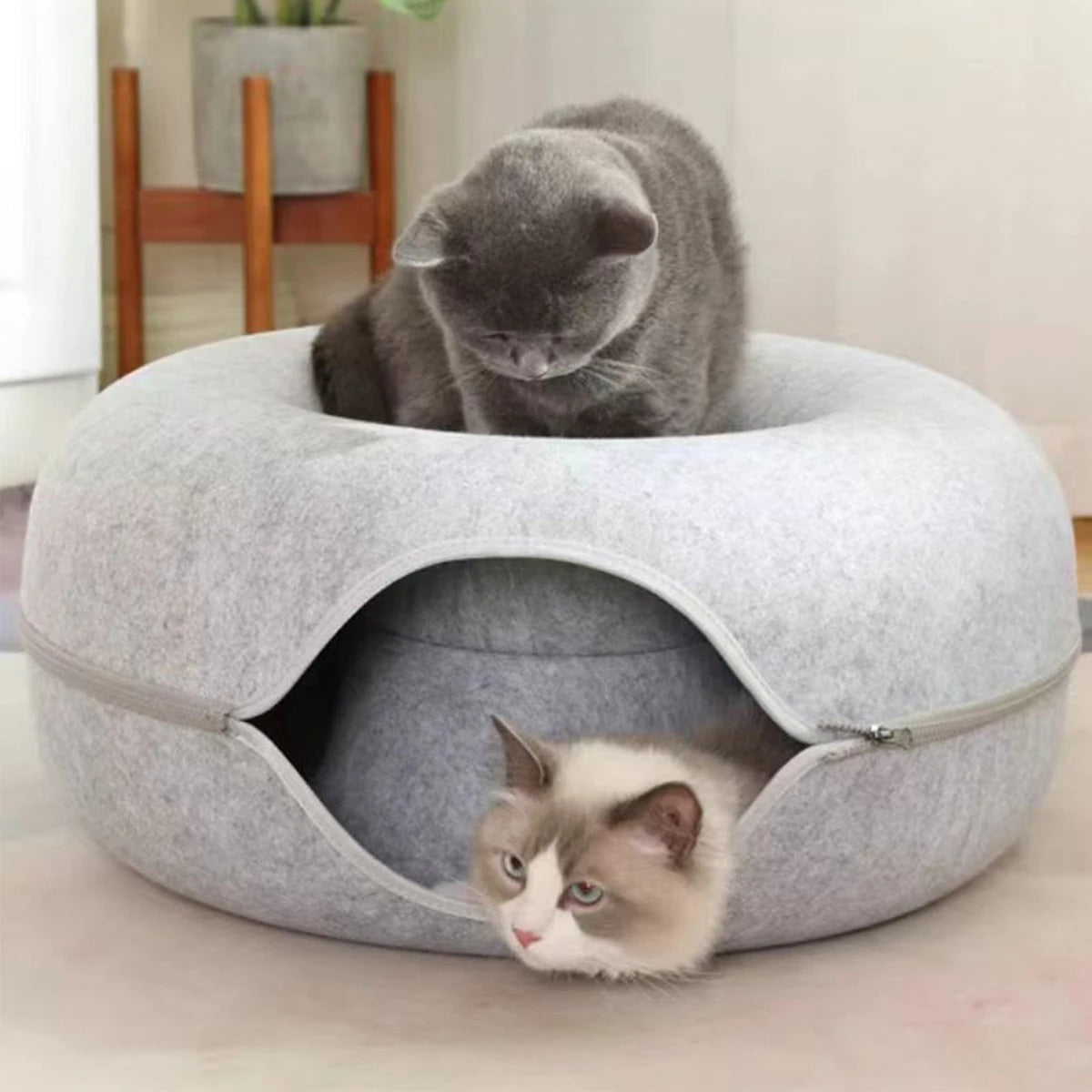 Kitty Ring™ – Cozy Cat Bed & Play Den in One