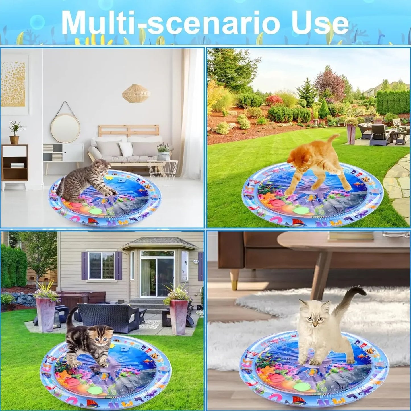 AquaBed™ — The Cooling Water Bed Your Dog Deserves