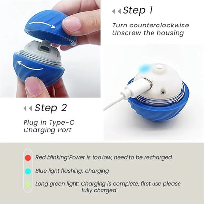 Smart Motion Pet Ball