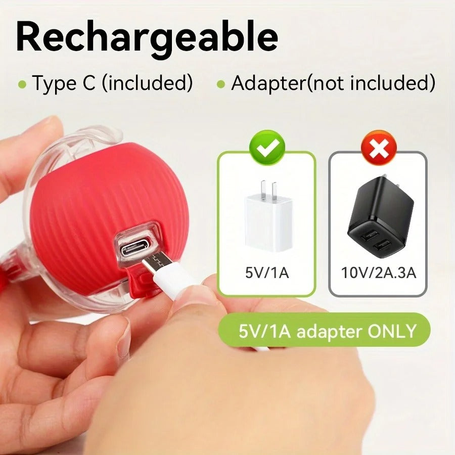 ZoomTail – Burn-Their-Energy Play Ball